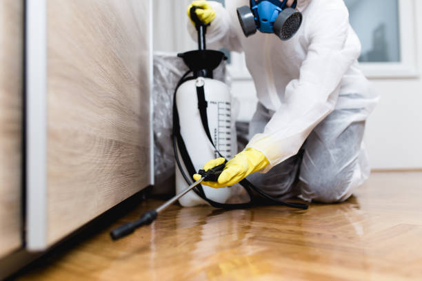 Best Affordable Exterminators  in Crossett, AR