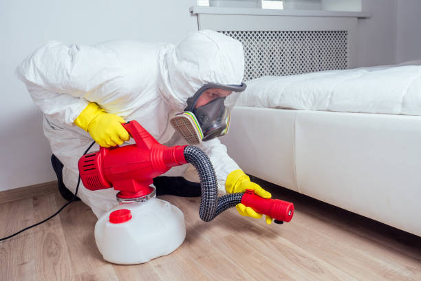 Best Flea Control Services  in Crossett, AR