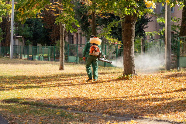 Best Bed Bug Extermination  in Crossett, AR