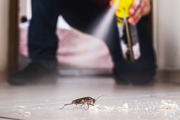 Best Affordable Pest Control Services  in Crossett, AR